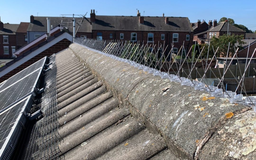 Wakefield Solar Panel Pigeon Proofing