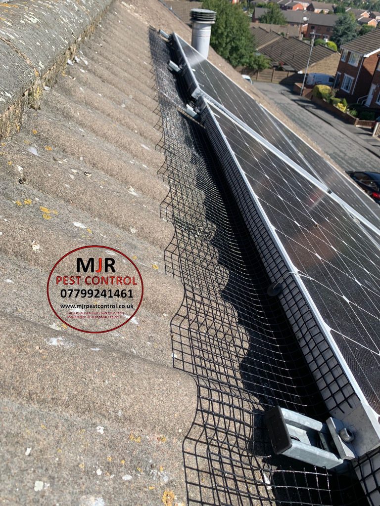 Solar panel pigeon proofing Wakefield