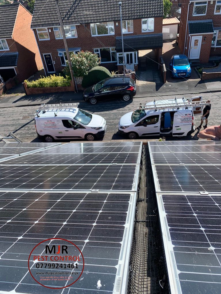 Solar panel pigeon proofing Wakefield