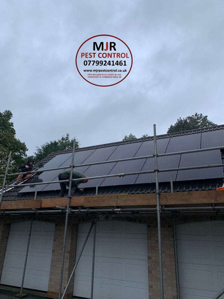 solar panel proofing york