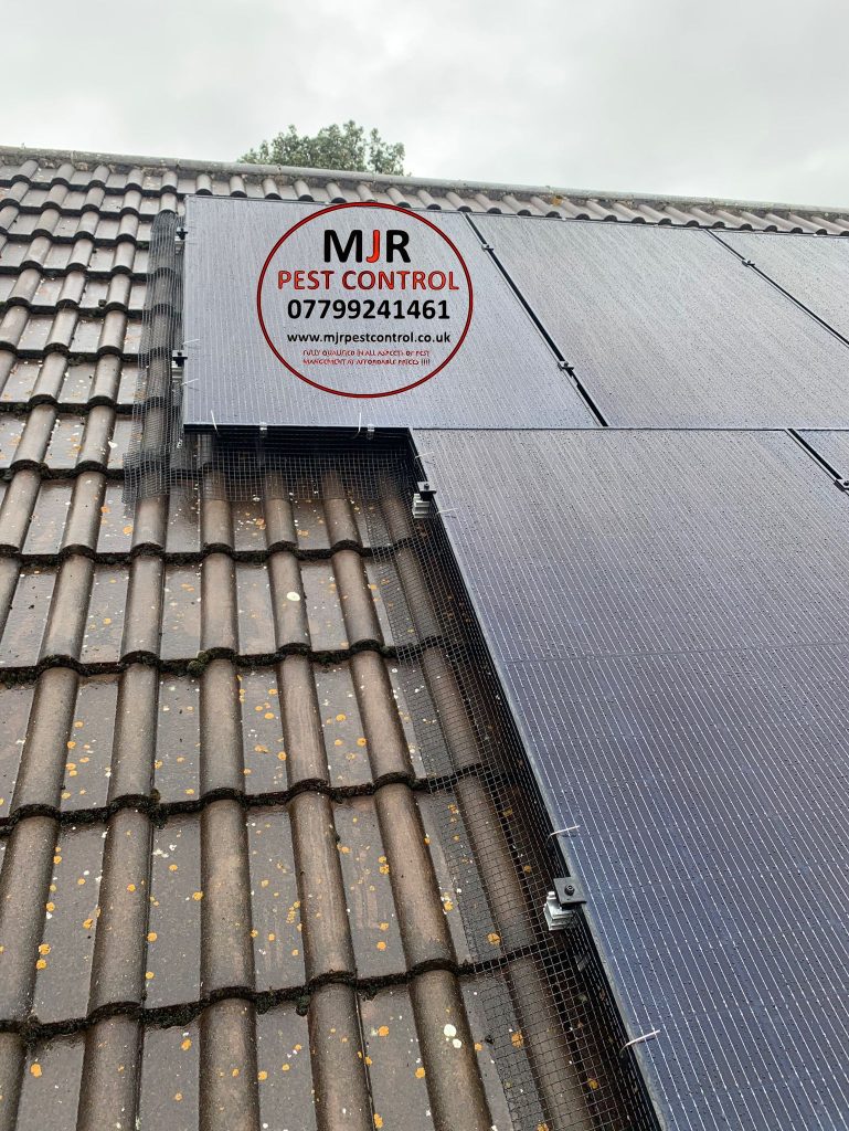 solar panel proofing york