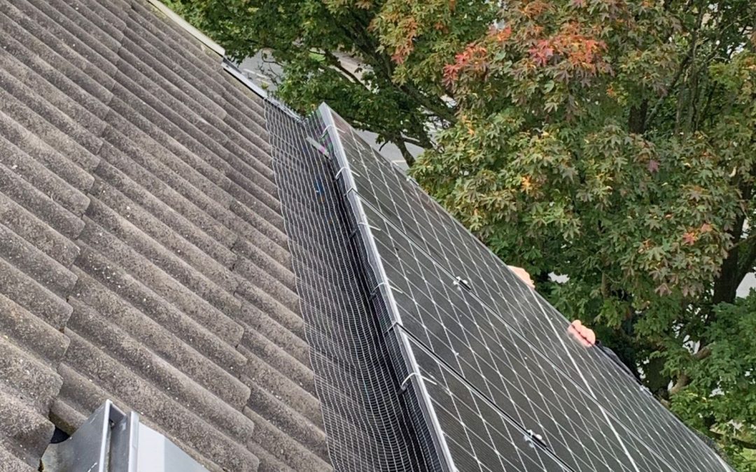 Pigeon Proofing Solar Panels in Leeds