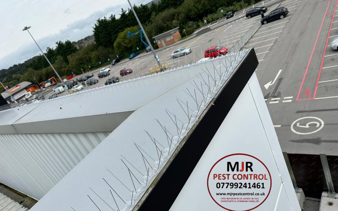 Bird Spikes Fitted to a M&S Unit in Barnsley