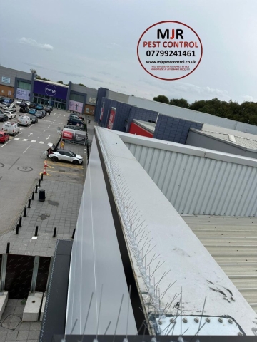 Bird spikes and prevention in Barnsley