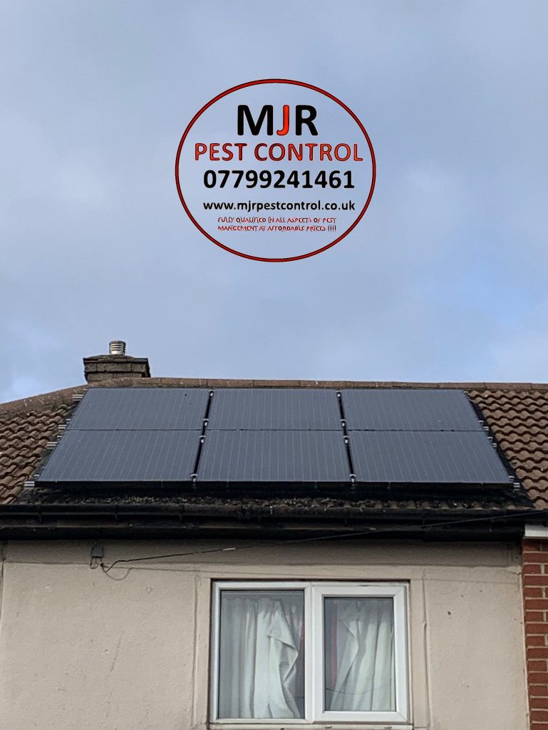 pigeon proofing solar panels in Knaresborough