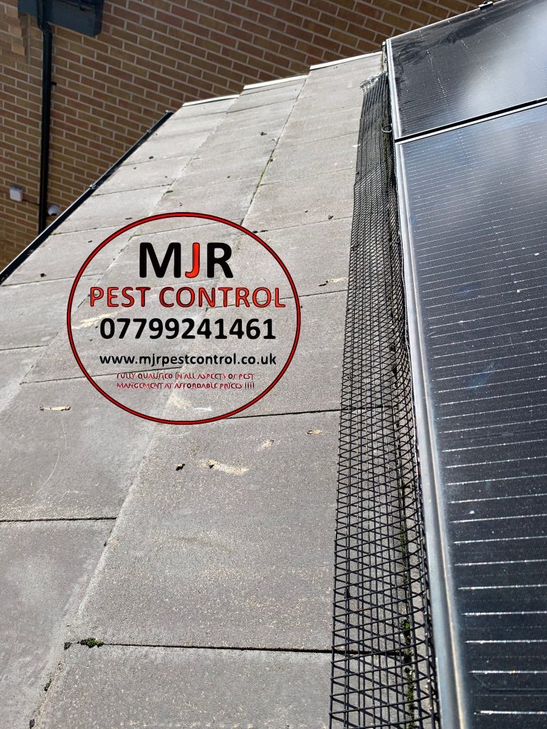 solar panel proofing york