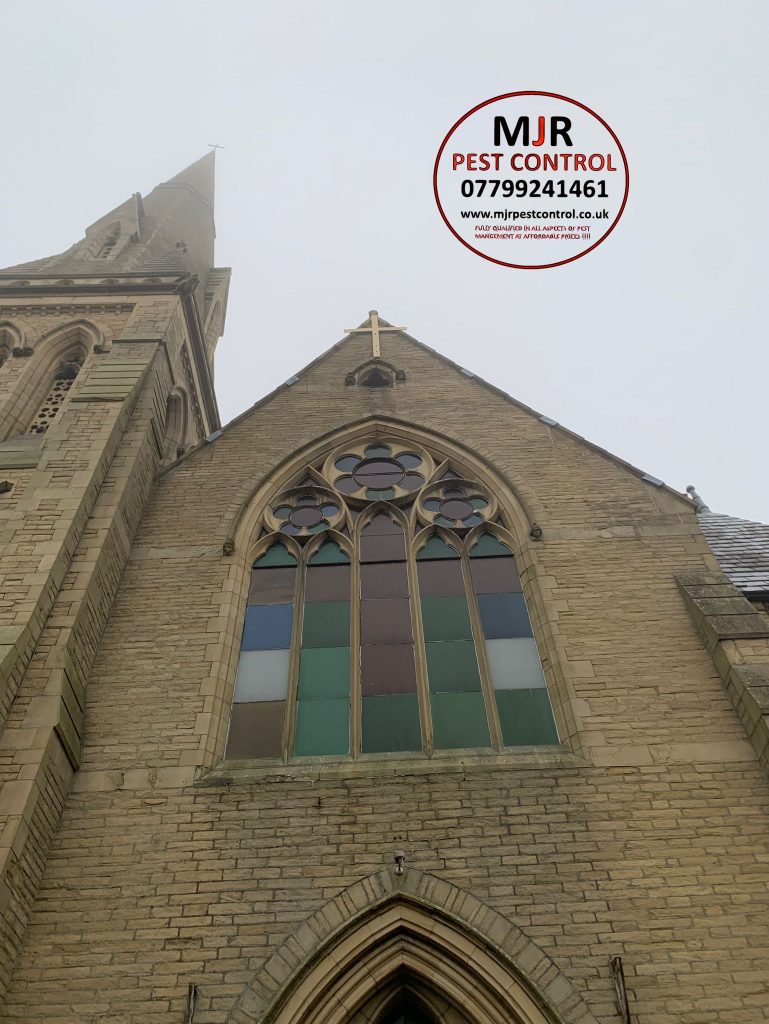 Pigeon netting fitted around-the stain glass window on a church in Bradford