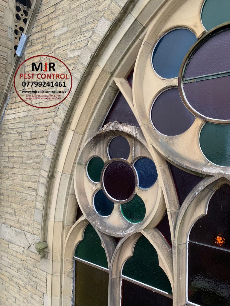 Pigeon netting fitted around the stain glass window on a church in Bradford