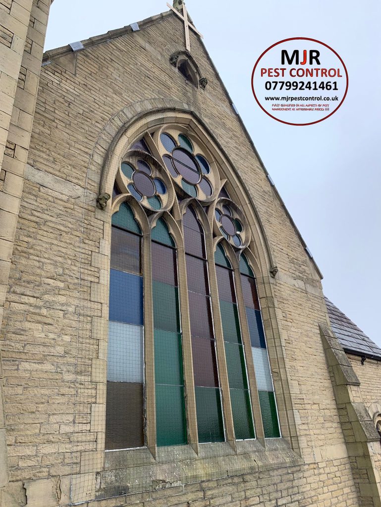 Pigeon netting fitted around-the stain glass window on a church in Bradford