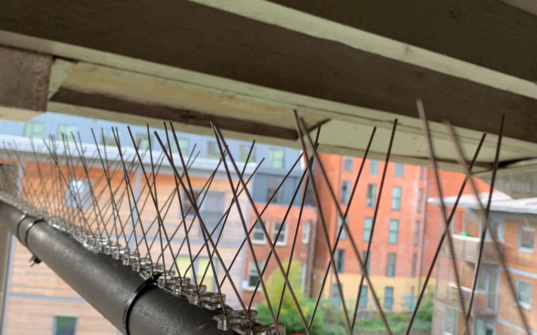 Bird Spikes Fitted to a Balcony In Leeds