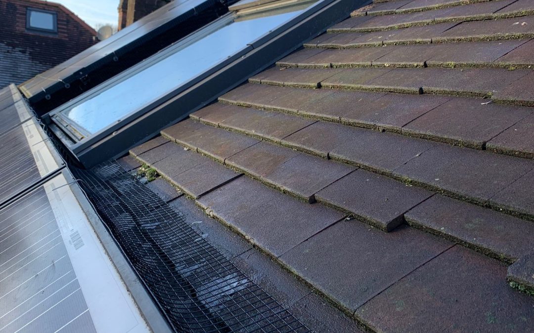 Solar Panel Pigeon Proofing Boroughbridge