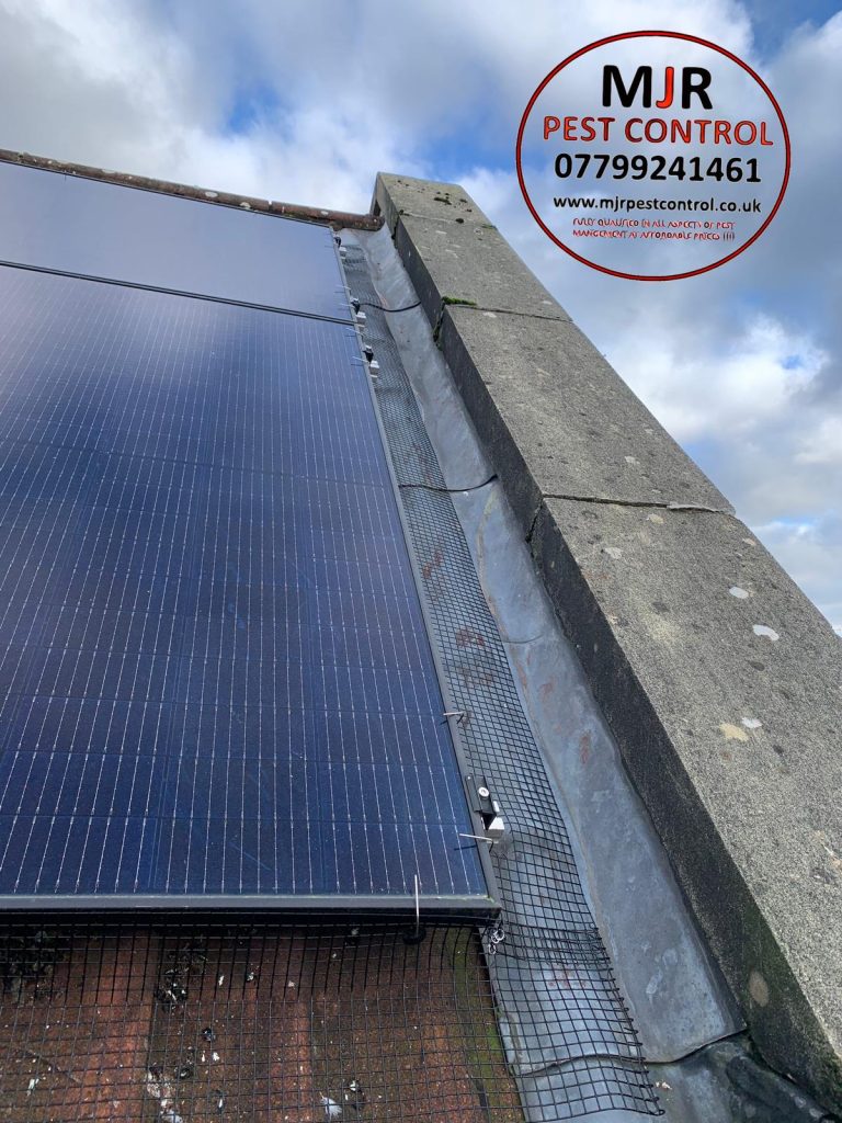 solar panel pigeon proofing harrogate