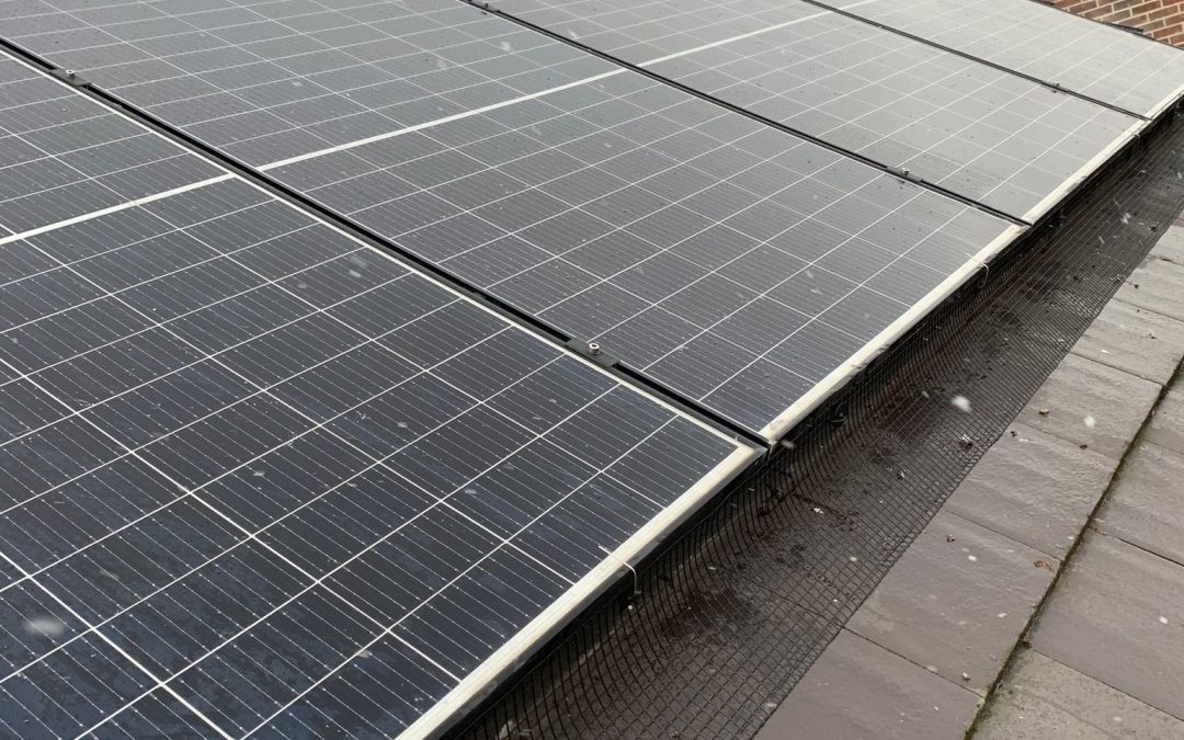 Solar Panel Pest Prevention York