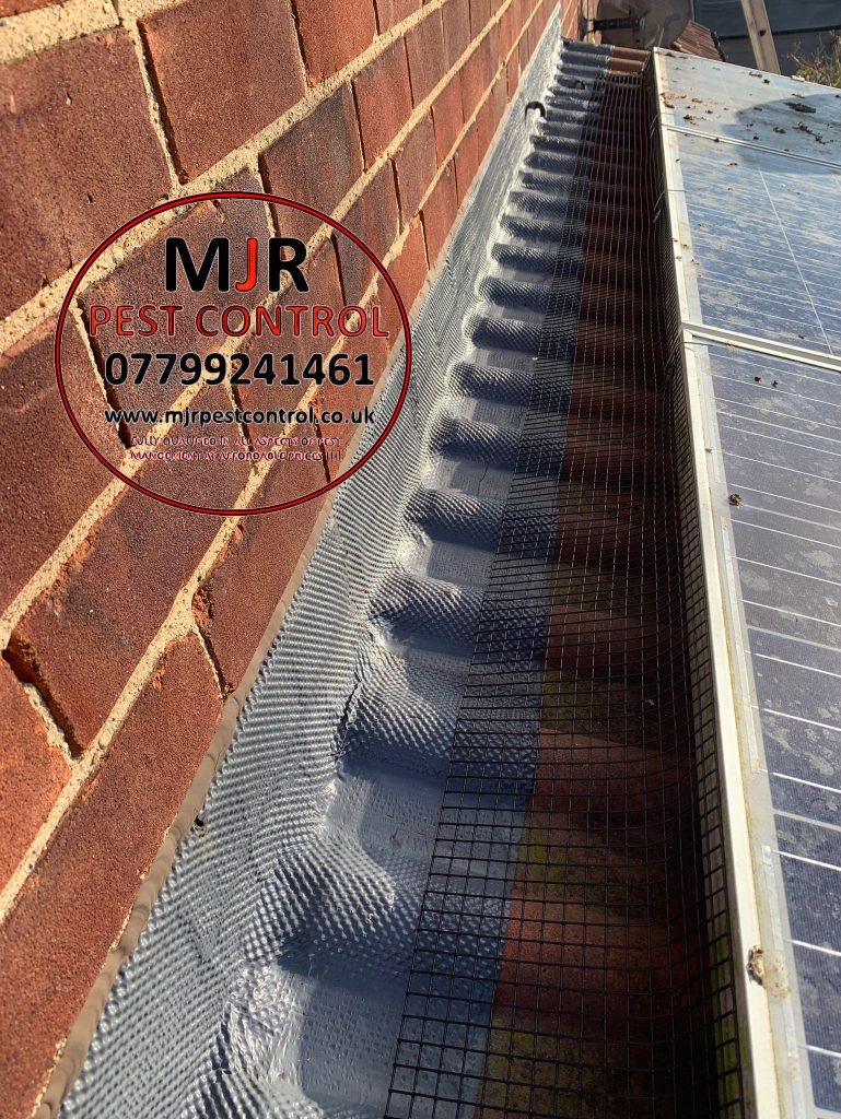 solar panel pigeon proofing york