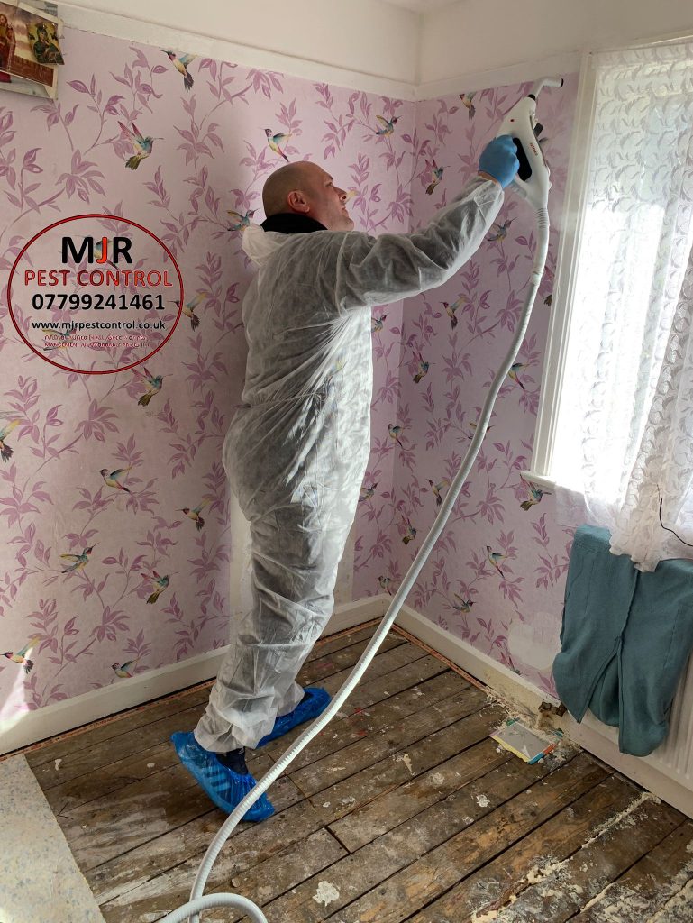 Bedbug fogging treatment Leeds