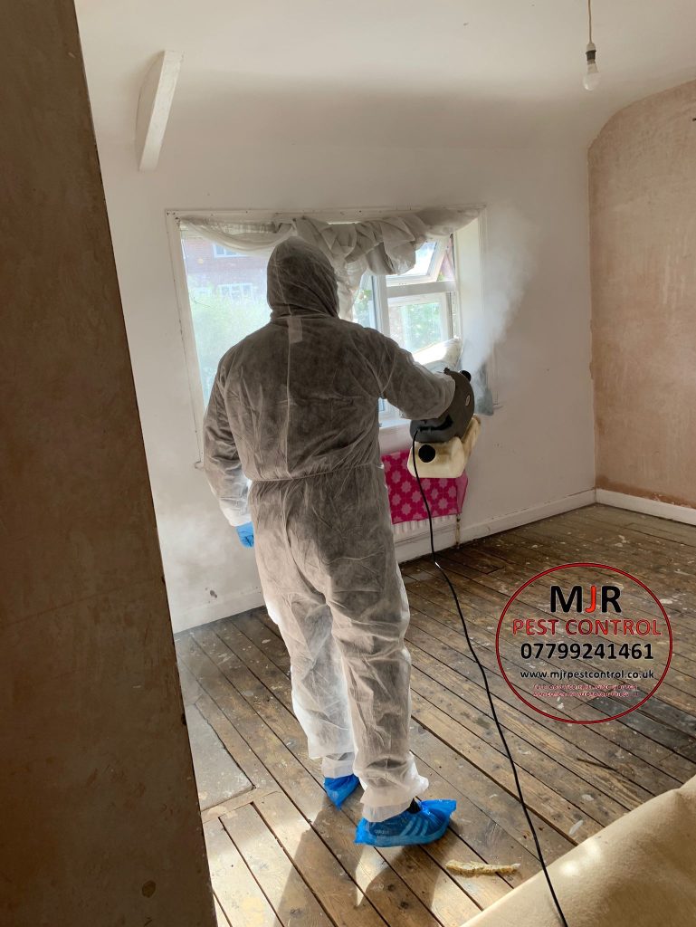 Bedbug fogging treatment Leeds