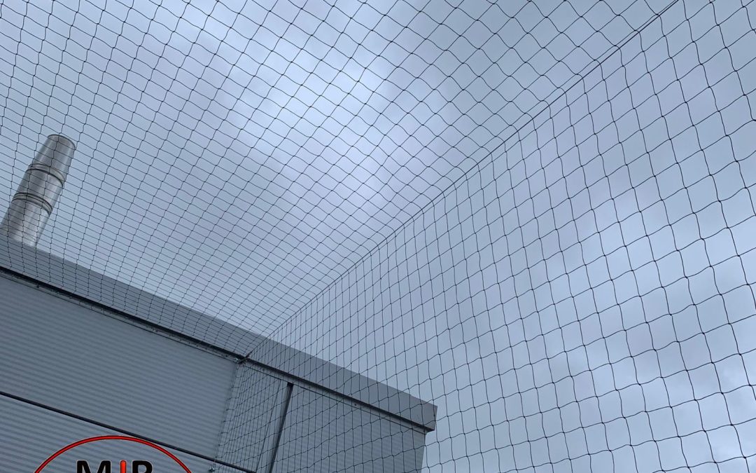 Pigeon Netting Installations in Leeds