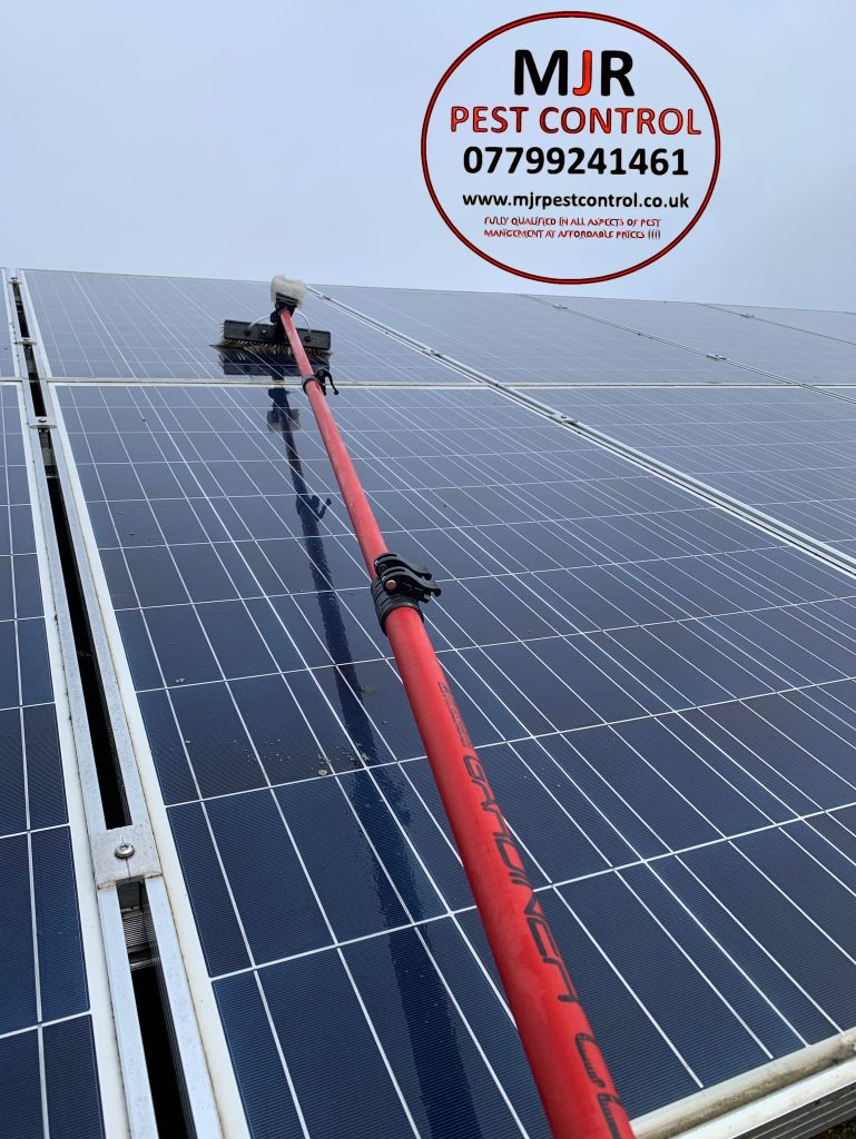 pigeon solar panel proofing rotherham