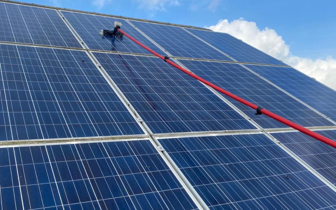 Solar Panel Cleaning York