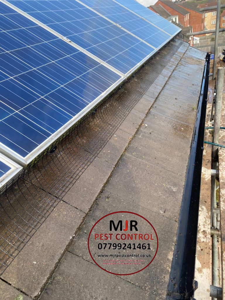 solar panel cleaning York