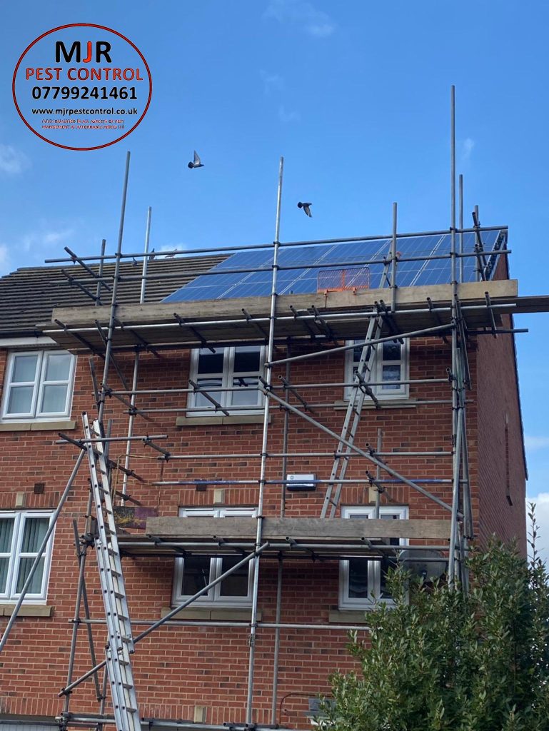 solar panel cleaning York