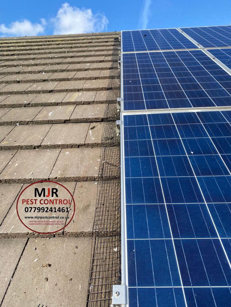 solar panel cleaning York