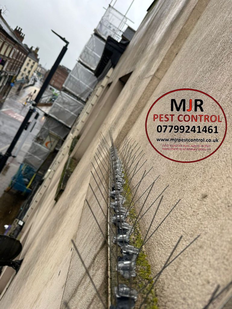 Bird spikes fitted on a building in Leeds