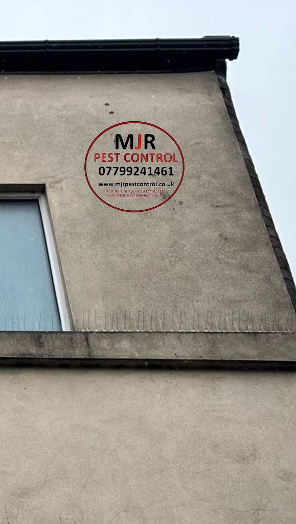 Bird spikes fitted on a building in Leeds