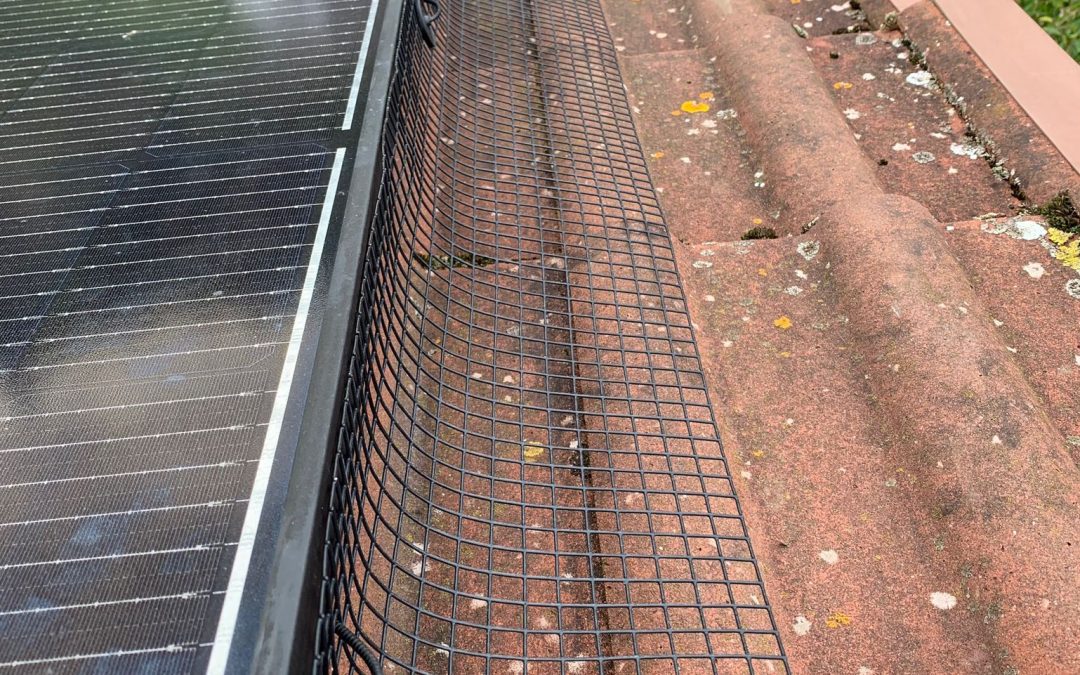 Solar Panel Pigeon Proofing Wetherby