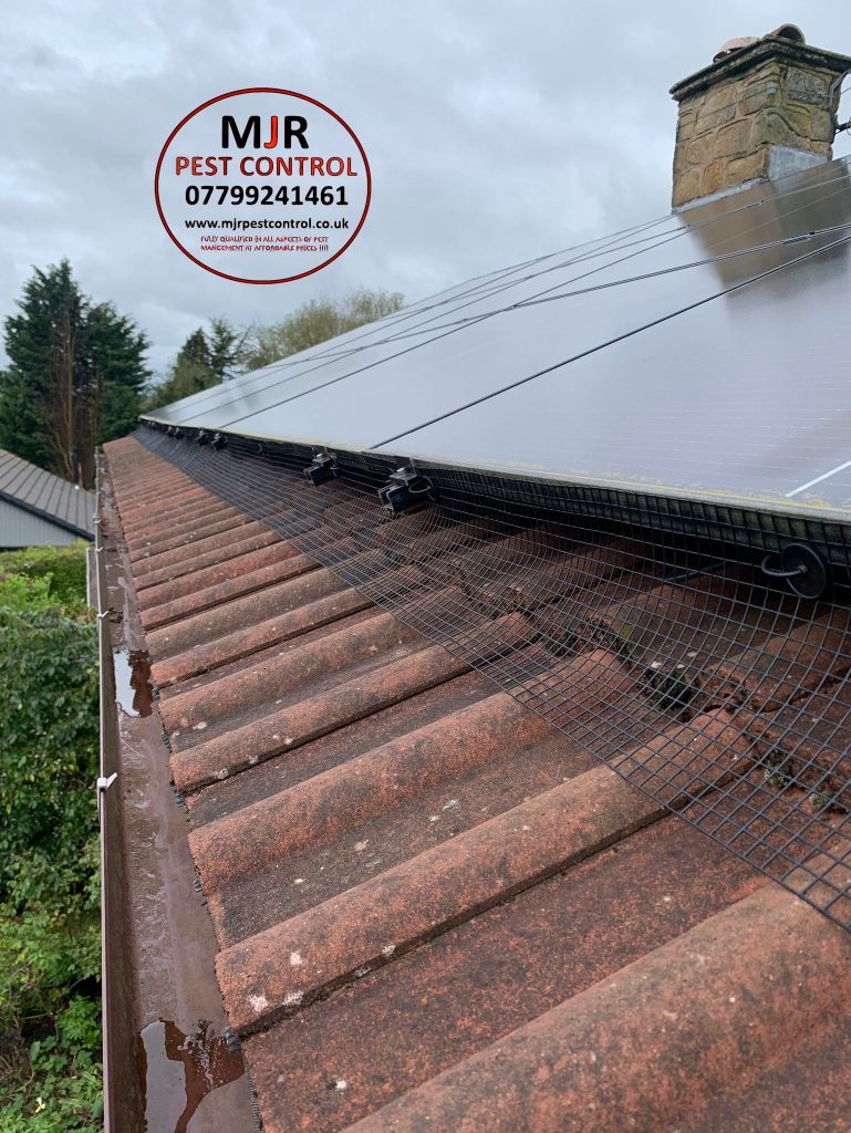 solar panel pigeon proofing wetherby