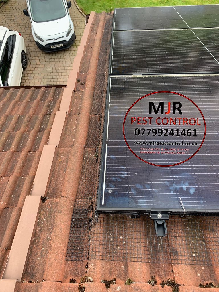 solar panel pigeon proofing wetherby