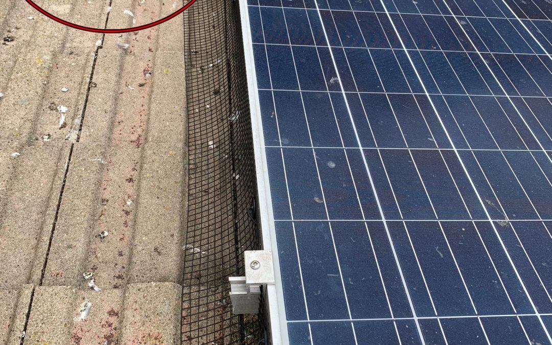 Solar Panel Pigeon Proofing and Gutter Cleaning in Howden