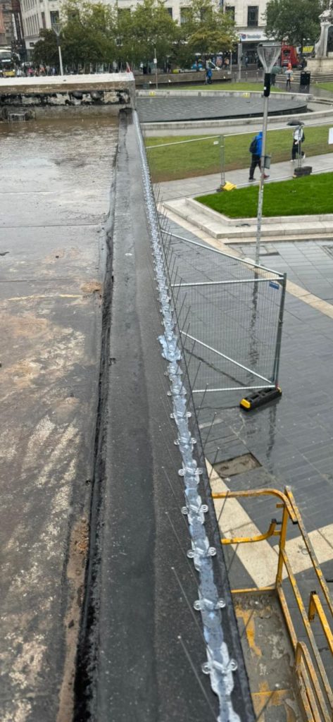 pigeon spikes to shop roof in manchester