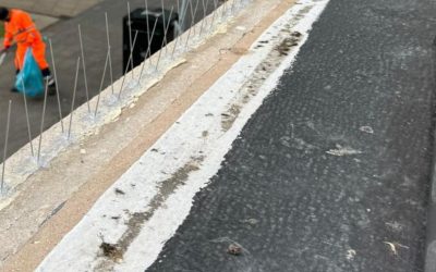 Pigeon Spikes to Shop Roof in Manchester