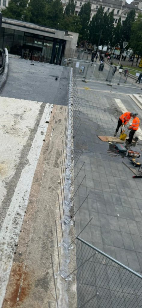 pigeon spikes to shop roof in manchester