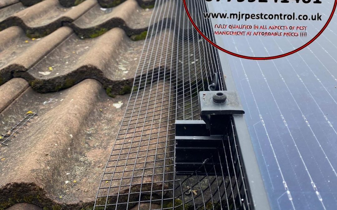 Solar Panel Pigeon Proofing Doncaster