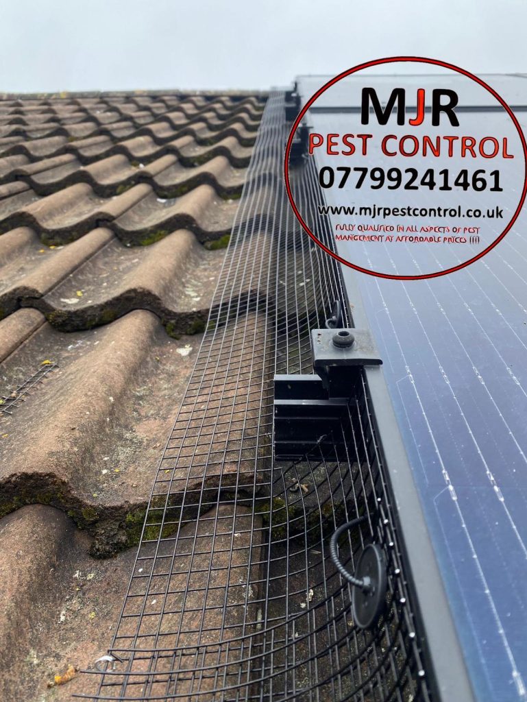 solar panel pigeon proofing doncaster