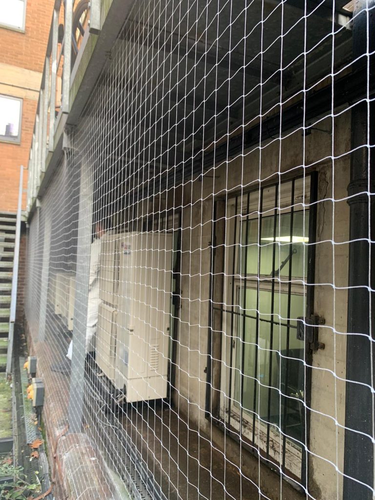 Pigeon netting installations in leeds