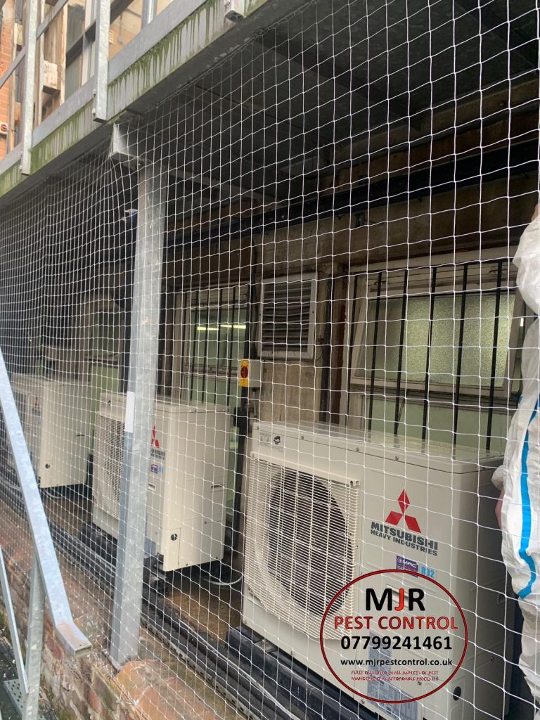 Pigeon netting installations in leeds