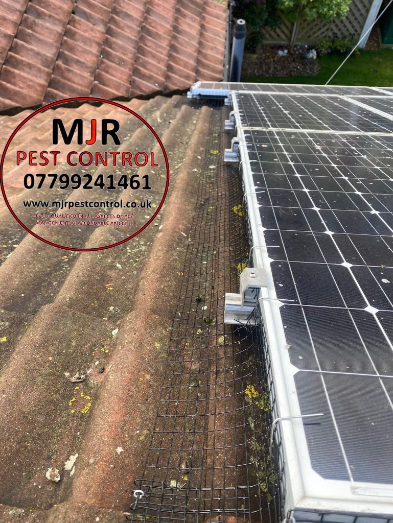 solar panel pigeon proofing Barton upon Humber