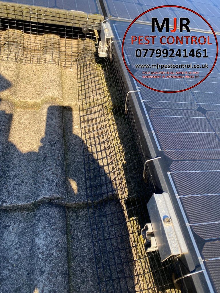 solar pigeon proofing leeds