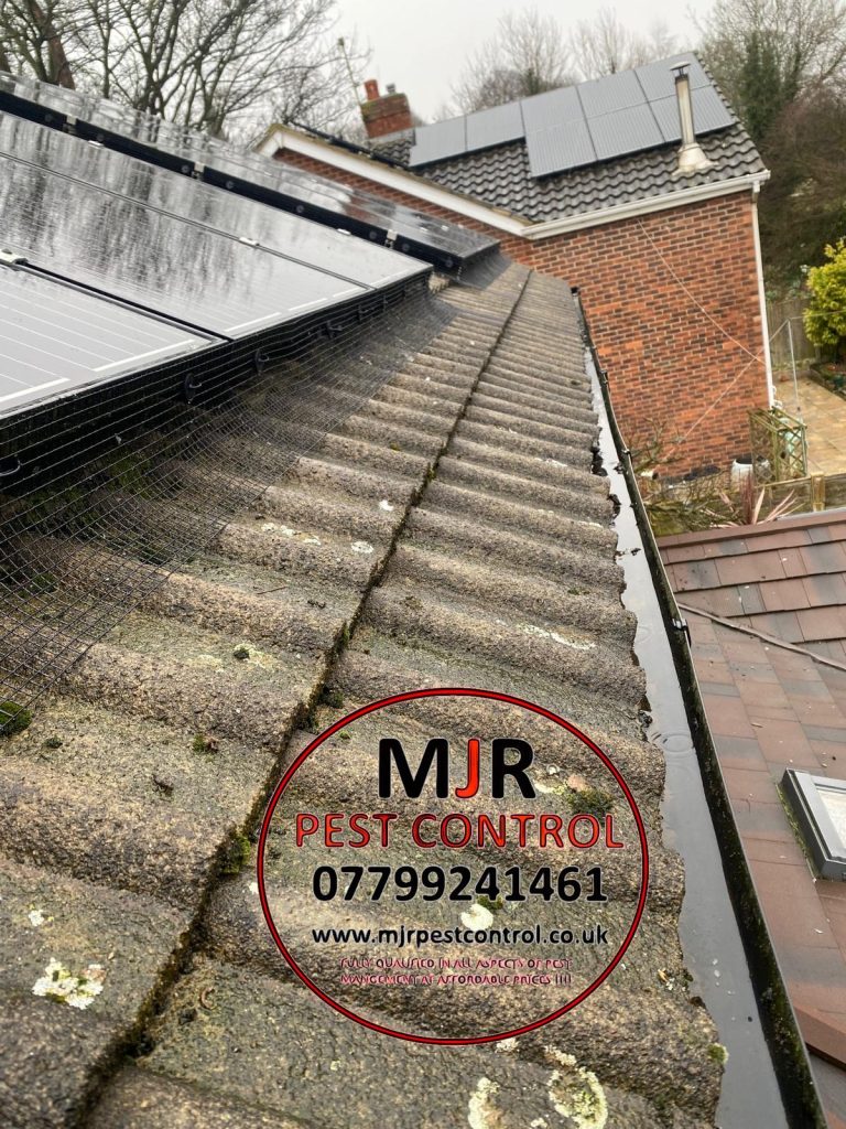 solar panel proofing york