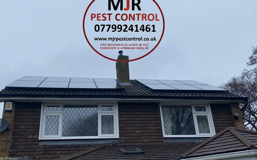 solar panel proofing york