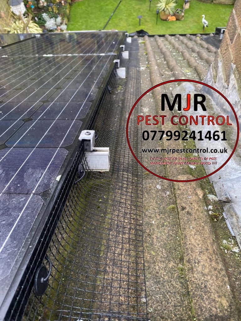 solar panel proofing york