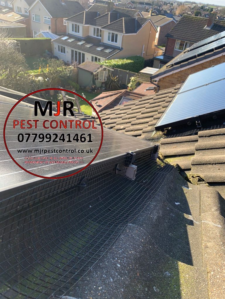 pigeon proofing solar panels york