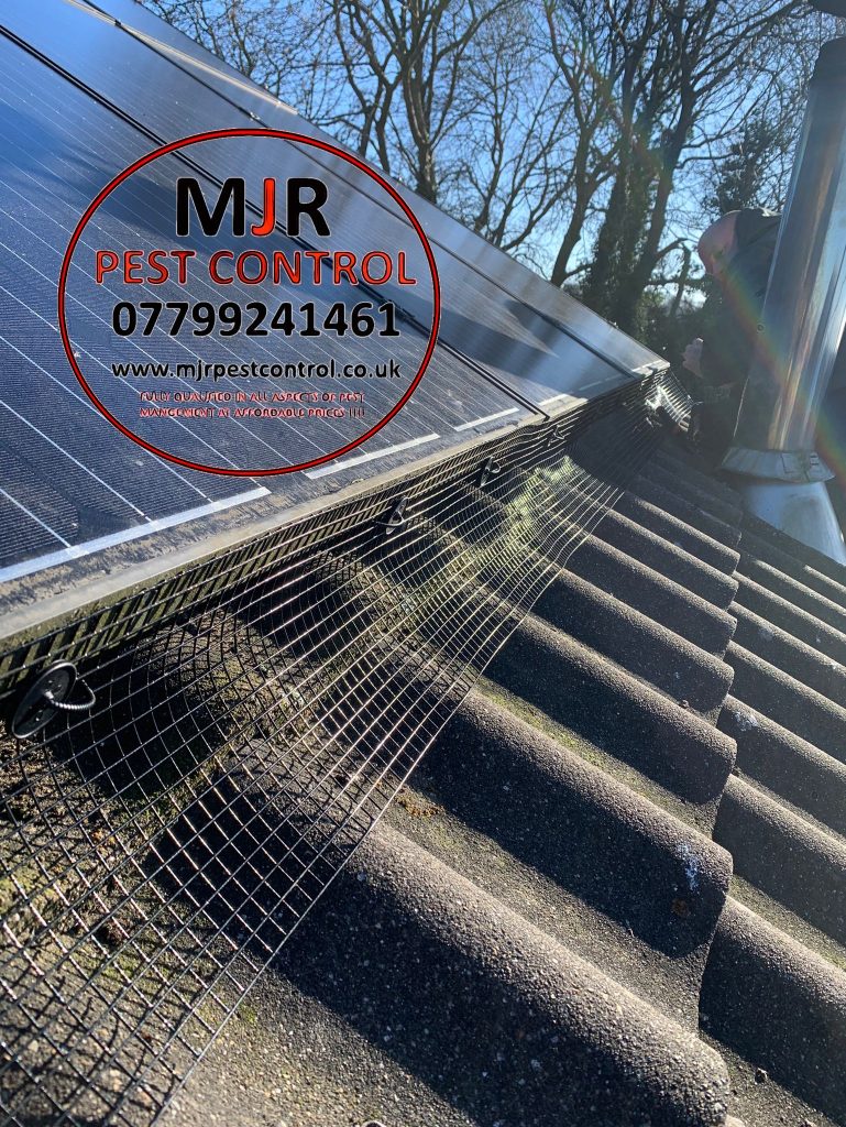 pigeon proofing solar panels york