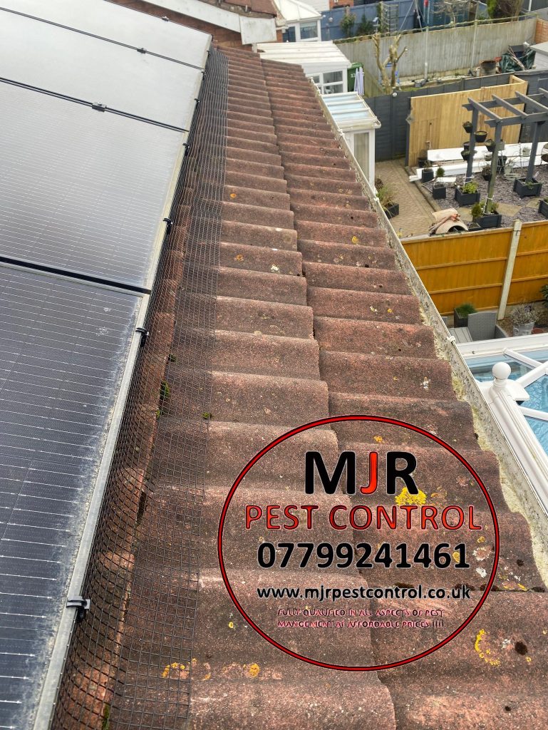 Solar panel pigeon proofing Bridlington