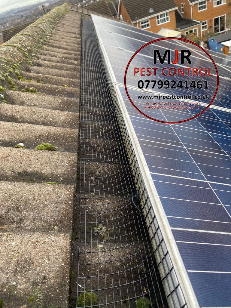 solar panel pigeon proofing Knaresborough