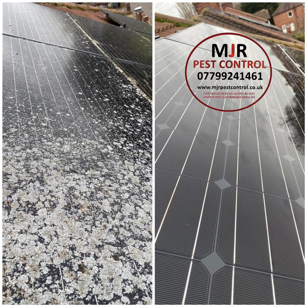 solar panel proofing barnsley