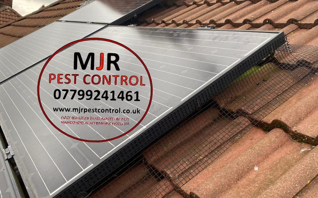 solar panel proofing barnsley